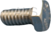 Alliance Parts - Alliance #F430923 Washer SCREW HH SS 1/4-20X1/2